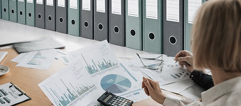 Tender & Bid Management Services